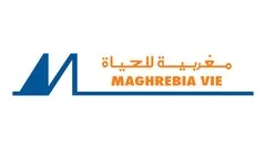 Logo AMV